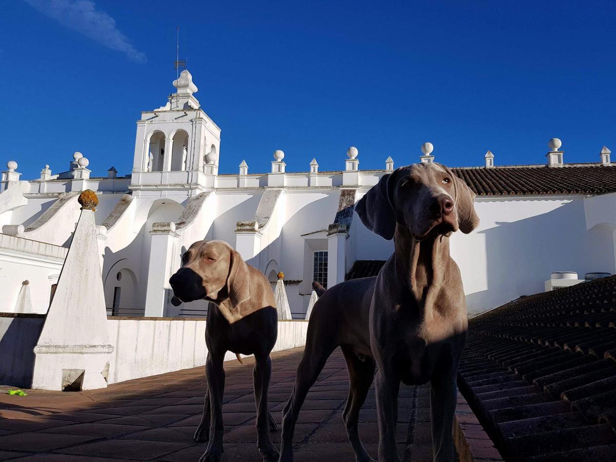 Convento Do Espinheiro, Historic Hotel & Spa Évora Exterior foto